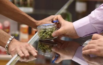 Colorado: Pot Use is Still a Valid Ground for Termination
